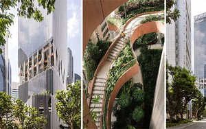 Chiêm ngưỡng tòa nhà chọc trời với 'hệ sinh thái xanh' ở Singapore