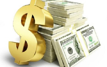 Đấu thầu qua mạng cần hồ sơ gì?