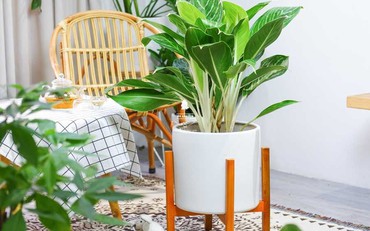 5 mẹo phong thủy đơn giản rước tiền bạc vào nhà