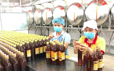 Mỹ giảm 7 lần mức thuế chống bán phá giá với mật ong Việt Nam