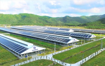 Doanh nghiệp được gì từ đầu tư cho phát triển bền vững?