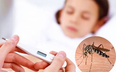 Cách nhận biết bệnh sốt xuất huyết ở trẻ em 