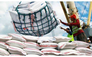Thị trường nông sản 26/5: Giá gạo trên thị trường thế giới bật tăng