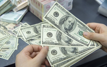 Giá USD hôm nay 29/6: USD tăng, Euro giảm