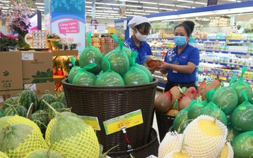 Bưởi da xanh miền Tây được giá