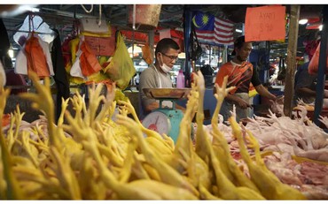 Singapore đã tìm được nguồn cung thay thế cho thịt gà Malaysia