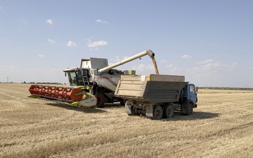 Ukraina dự kiến thu hoạch 50 triệu tấn ngũ cốc