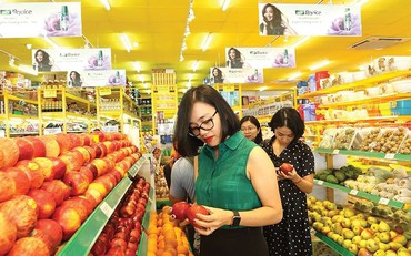 Báo Malaysia: Việt Nam có tiềm năng trở thành 'cường quốc kinh tế' nhờ tăng trưởng xuất khẩu trái cây