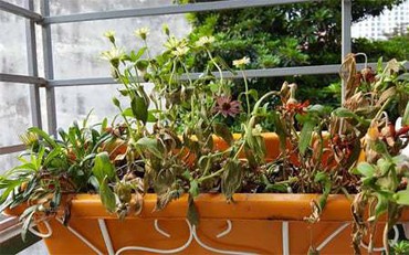 5 đồ vật không nên giữ trong nhà, tránh hao tài phá của