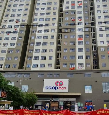 Ở chung cư, suốt ngày đi kiện cáo!