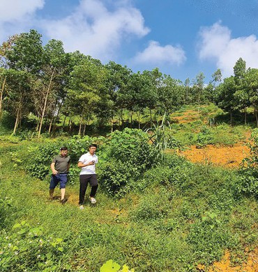 Đầu tư bất động sản: Lọc thông tin giữa vùng nhiễu động