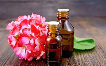 Bảy loại dầu tự nhiên có thể làm đẹp da mặt thay kem dưỡng ẩm