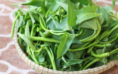 Thực hư chuyện ăn rau muống chưa chín sẽ bị xơ gan