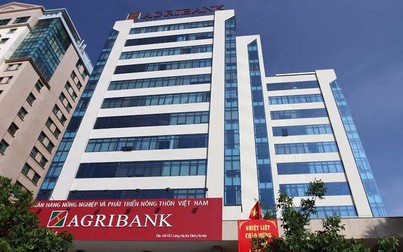 Agribank đang nắm vốn tại những ngân hàng nào?