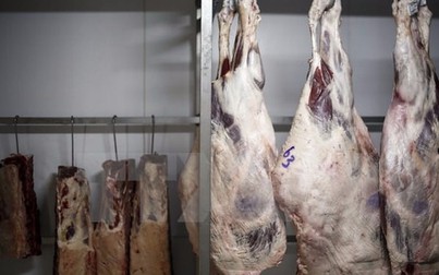 Bê bối thịt bẩn: Brazil yêu cầu WTO can thiệp việc các nước cấm nhập khẩu thịt