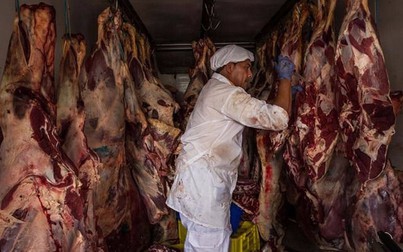 Không rõ thịt nhập từ Brazil bán ở đâu