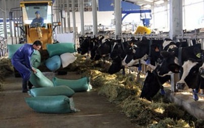 Sữa Mộc Châu về tay tư nhân với giá hơn 1.300 tỷ đồng
