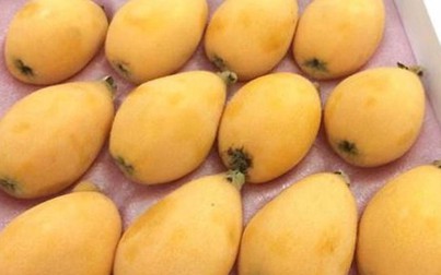 Biwa - quả lạ hoắc 4 triệu/kg: Chị em ăn vặt đỡ nhạt miệng