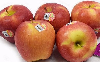 Cách phân biệt táo nhập khẩu và táo Trung Quốc "đội lốt"
