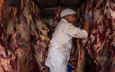 Siết chặt kiểm tra thịt nhập khẩu​
