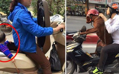 20 hình ảnh giao thông hài hước chỉ có thể là ở Việt Nam
