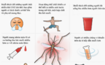 Bảy yếu tố biến con người thành 'nam châm' hút muỗi