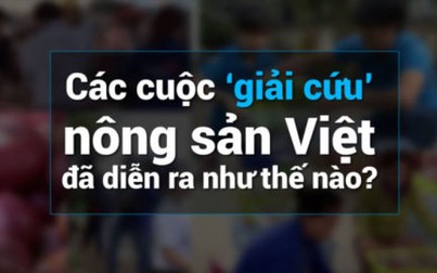Các cuộc ‘giải cứu’ nông sản Việt đã diễn ra như thế nào?