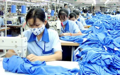 Không có chuyện 'hơn 26 người Việt làm việc bằng 1 người Singapore'