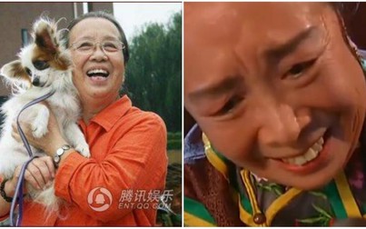 'Dung Ma Ma' tuổi 81 chật vật cảnh sống neo đơn, làm bạn với chó mèo hoang