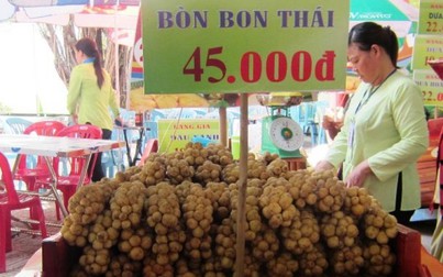 Gần nửa tỷ USD nhập rau quả từ Thái Lan và thuốc trừ sâu từ Trung Quốc