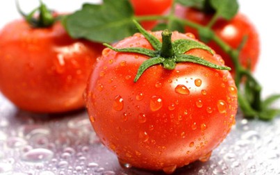 Ăn cà chua có thể giúp nam giới phòng 1 loại bệnh ung thư và nhận về 8 lợi ích sức khỏe