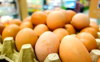 Trứng gà nhiễm thuốc trừ sâu vượt châu Âu lan tới châu Á