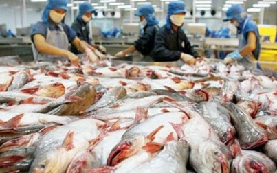 Giải pháp nào đẩy mạnh cá tra Việt Nam vào Hoa Kỳ và EU?