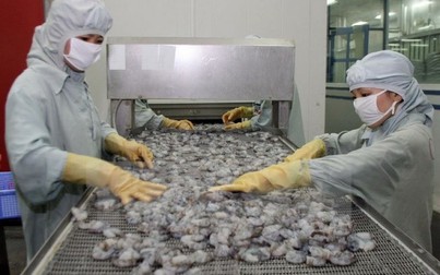 Châu Á sẽ là thị trường tiêu thụ mới nổi của ngành tôm Việt Nam