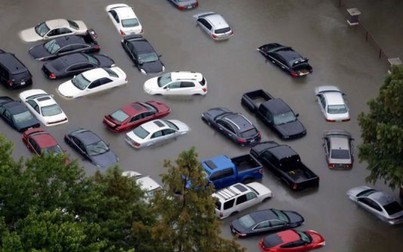 Nửa triệu ôtô ngập ở Mỹ có thể bị quẳng vào bãi phế liệu