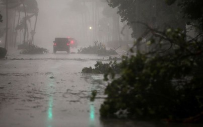 Bão Irma khiến Florida như ở 'vùng tối mặt trăng', ít nhất 3 người chết