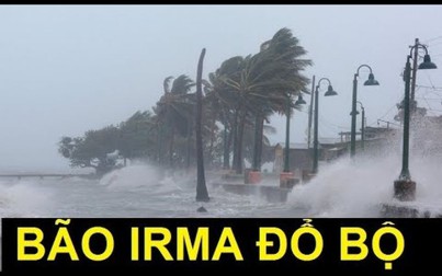 Florida chìm trong cơn ác mộng tồi tệ khi 'quái vật Irma' đổ bộ