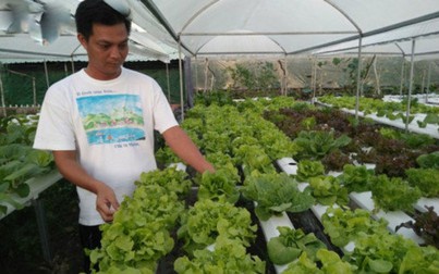 Người Việt chi 1 tỷ USD nhập khẩu nông sản: Thất thủ trên sân nhà?
