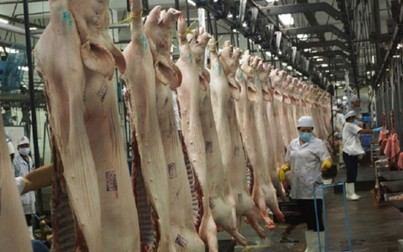 Bộ Công an 'giải cứu' hơn 3.600 tấn thịt heo