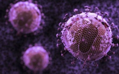 Tìm ra kháng thể mới tiêu diệt được 99% virus HIV