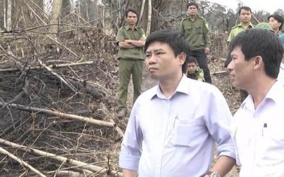 Đề nghị cách chức 10 cán bộ ở Nghệ An vì liên quan đến các vụ phá rừng