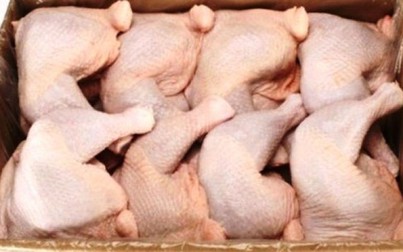 Thịt gà 2.000 đồng/kg đổ về: Truy tìm kẻ nhập khẩu bỏ trốn