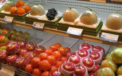 Trái cây đắt như vàng ròng ở Nhật Bản bán đầy Việt Nam
