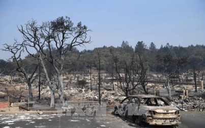 290 người chết và mất tích trong vụ cháy rừng ở California