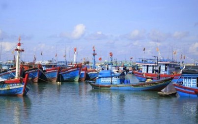 Tỉnh Bình Thuận cấm tàu thuyền ra khơi để phòng chống bão số 14