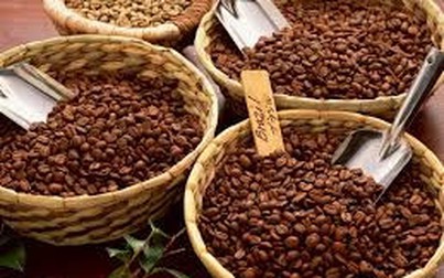 Giá cà phê hôm nay 10/12: Robusta tăng lại do dự báo xuất khẩu giảm từ Việt Nam