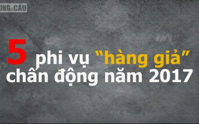 5 phi vụ 'hàng giả' chấn động năm 2017