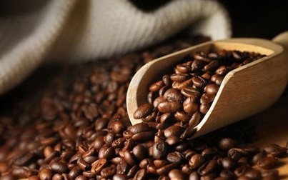 Giá cà phê hôm nay 22/12: Lại ‘phá đáy’
