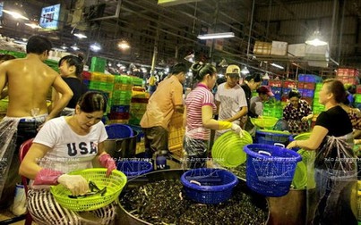 Nông hải sản miền Tây về Sài Gòn gián đoạn do mưa bão Tembin