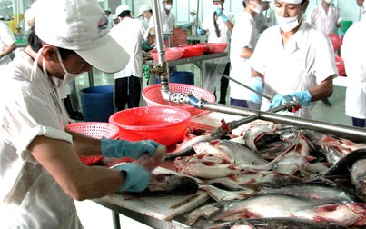 Lần thứ 4, Việt Nam khiếu nại Mỹ về việc chống bán phá giá đối với cá tra và basa